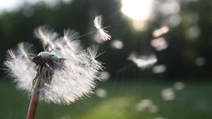 How to Be Happy: 7 Habits of Happy People