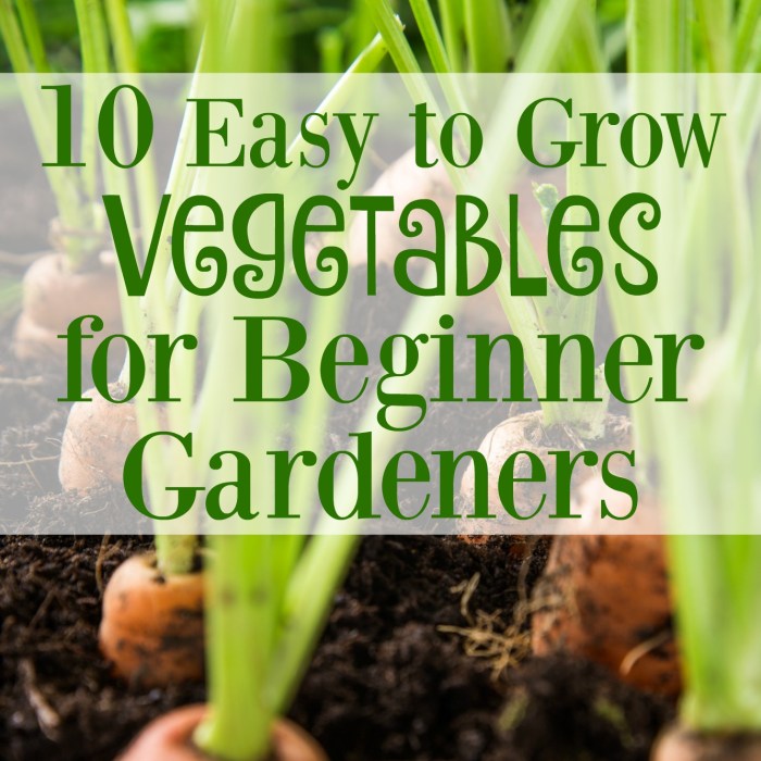 Vegetable gardening beginners guide garden plant veggie instructions diy