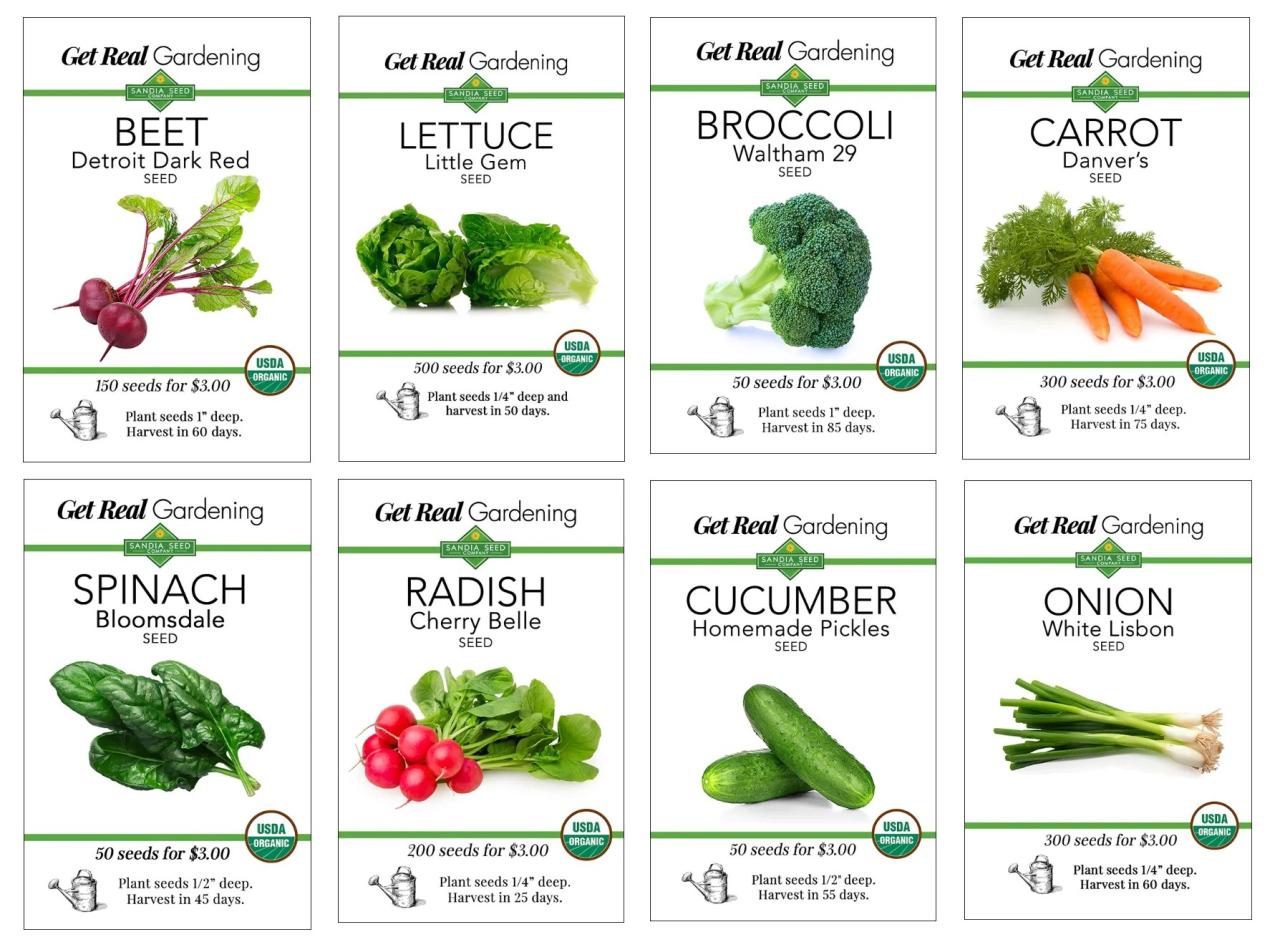 Plants beginner plant seeds seed mint grow vegetables garden easy veggie planting easiest growing starter veggies au australian starting patch