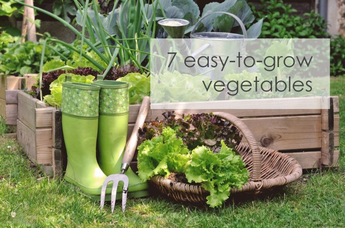 Grow vegetables easy veggies gardening simple scraps starting arctic ca blog
