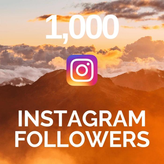How to Get 1,000 Instagram Followers in 10 Days