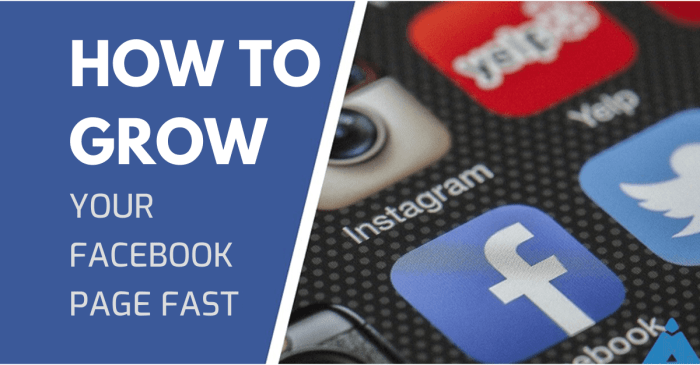 How to Grow Your Facebook Page in 14 Days