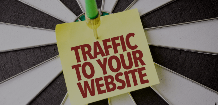 How to Double Your Website Traffic in 30 Days