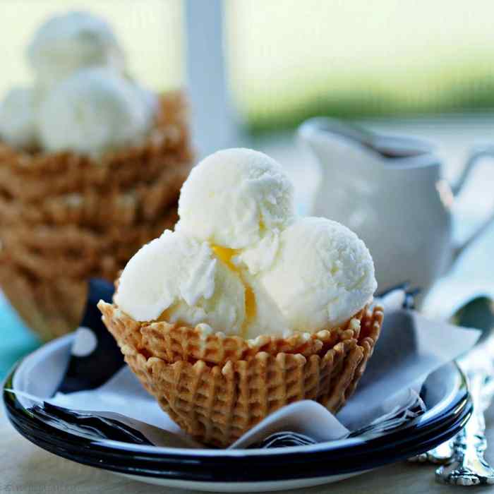How to Make Ice Cream: 12 Delicious Ice Cream Recipes