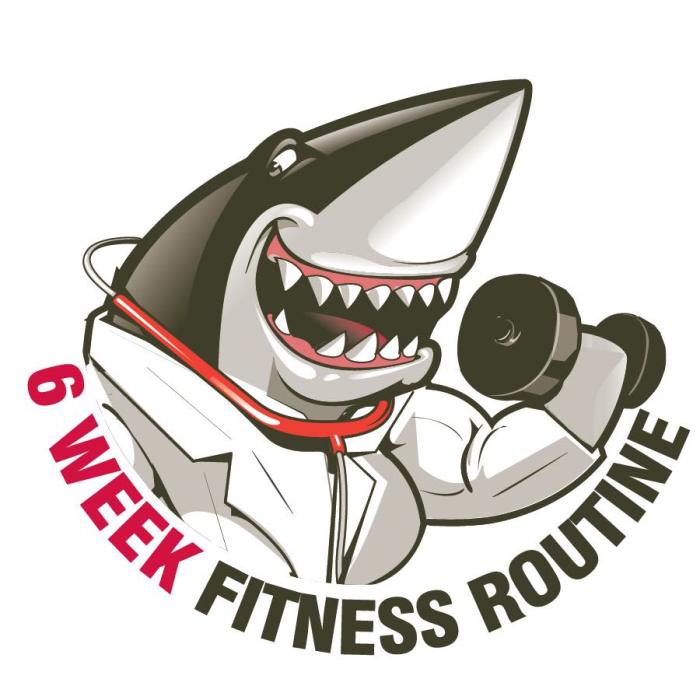 How to Create a 6-Month Fitness Plan and Stick to It