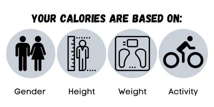 Diet pounds quick reduce losing meals Diet pounds quick reduce losing meals