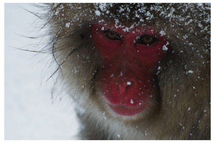 Compose piano transpose composing composition composer benefits escuela armonia cmuse musikalessons