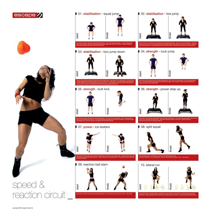 How to Improve Your Cardiovascular Fitness: 5 Cardio Workouts for Beginners