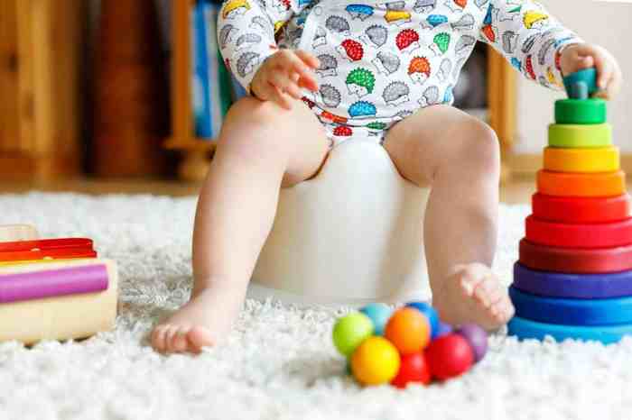 How to Potty Train a Toddler: 7 Effective Methods for Potty Training Success