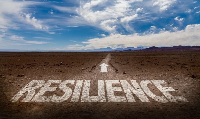 Resilience adversity bouncing back